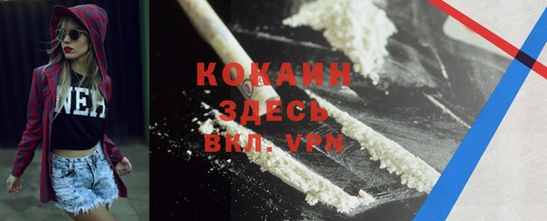 трава Новозыбков