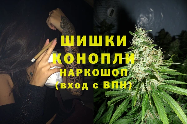 трава Новозыбков