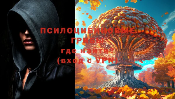 винт Новокубанск