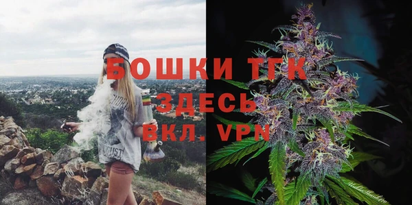 трава Новозыбков