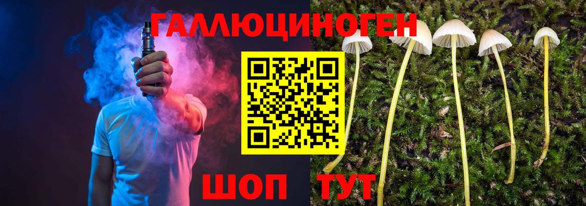 Сарапул  Галлюциногенные грибы Magic Shrooms  Вход с VPN  Псилоцибиновые грибы GOLDEN TEACHER 