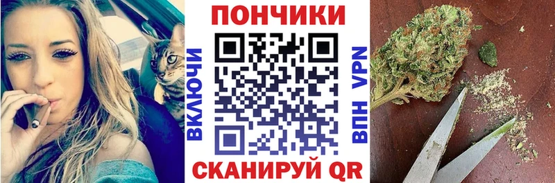 Шишки марихуана SATIVA & INDICA  мега как зайти  Сарапул  что такое наркотик 